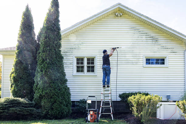 Best Restaurant Pressure Washing  in Ridgewood, IL